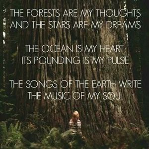 Meet your Posher, Norman